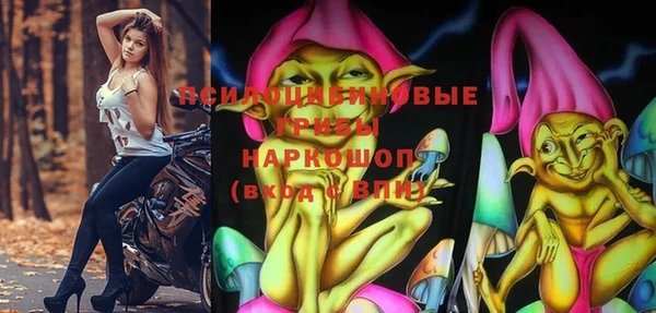 ПСИЛОЦИБИНОВЫЕ ГРИБЫ Алексеевка