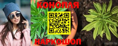шишки Можайск