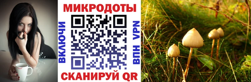 Галлюциногенные грибы ЛСД  kraken ONION  Новочеркасск 