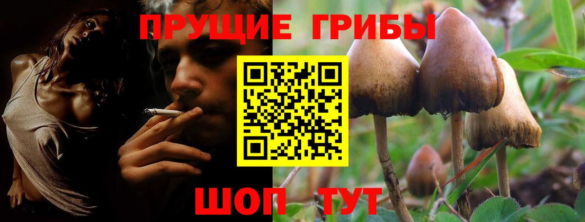 Новочеркасск  Галлюциногенные грибы Psilocybe  Вход с VPN  Псилоцибиновые грибы GOLDEN TEACHER 