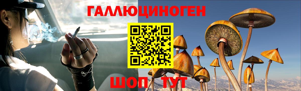 Галлюциногенные грибы прущие грибы  Вход с VPN  Новочеркасск  Галлюциногенные грибы Cubensis 