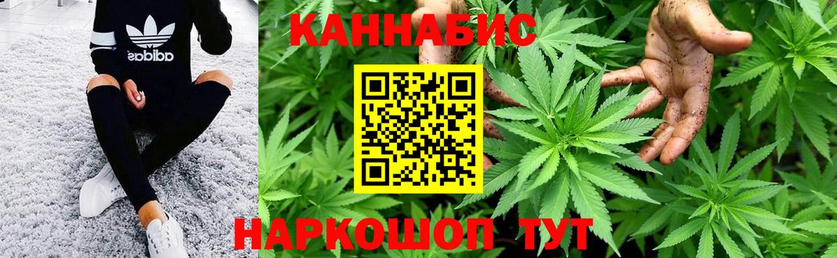 Бошки Шишки семена Новочеркасск